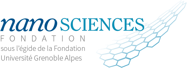 Fondation Nanoscience